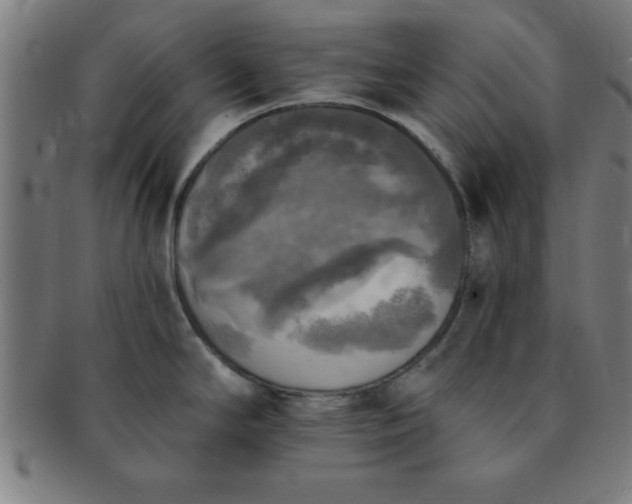 X0000091351294200708241238