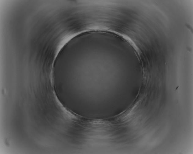 X0000091351295200708241238