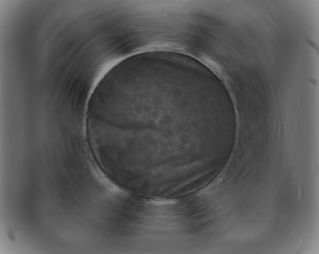 X0000091351296200708241238