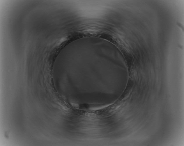 X0000091351297200708241237