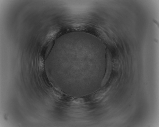 X0000091351298200708241237