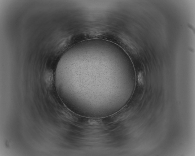 X0000091351299200708241237