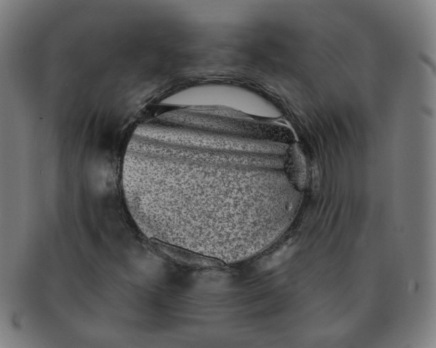 X0000091351300200708241237