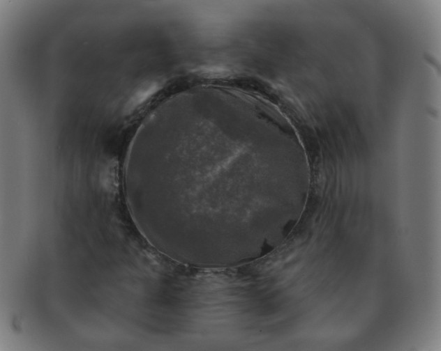 X0000091351301200708241237