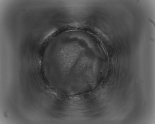X0000091351302200708241237