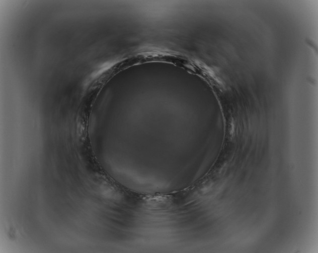 X0000091351303200708241237
