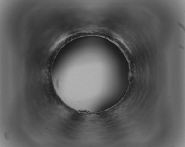 X0000091351304200708241237