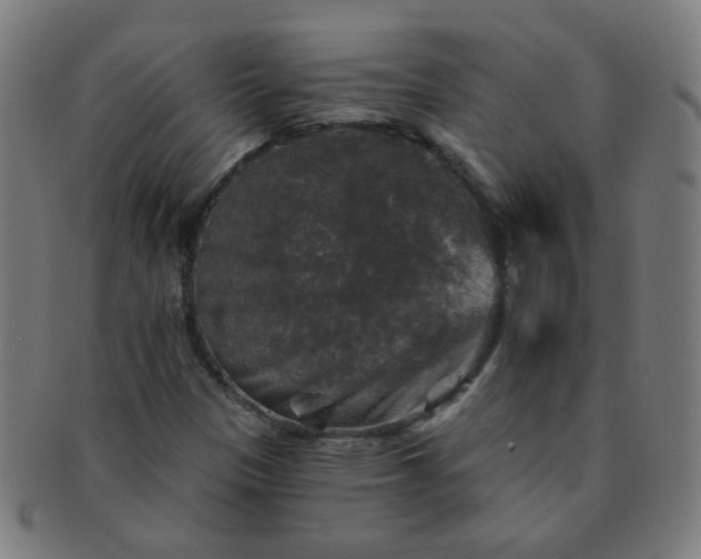 X0000091351305200708241237
