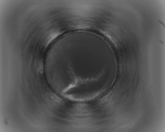 X0000091351306200708241237