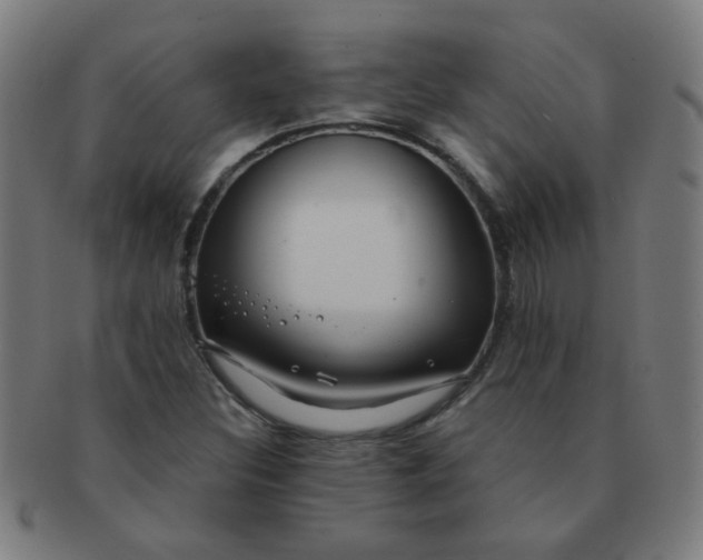 X0000091351308200708241237