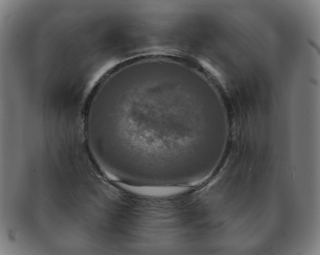 X0000091351310200708241237