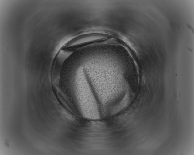 X0000091351312200708241237