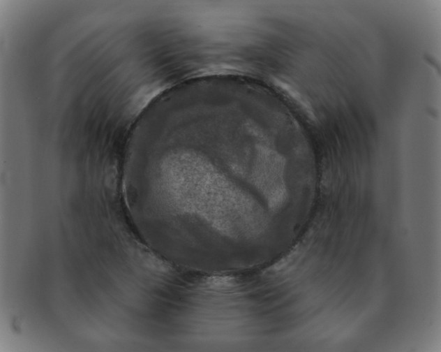 X0000091351313200708241237