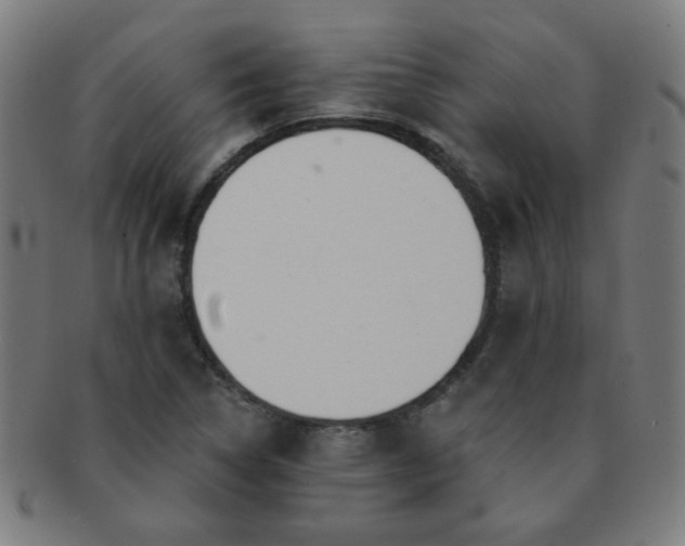 X0000091351314200708241237