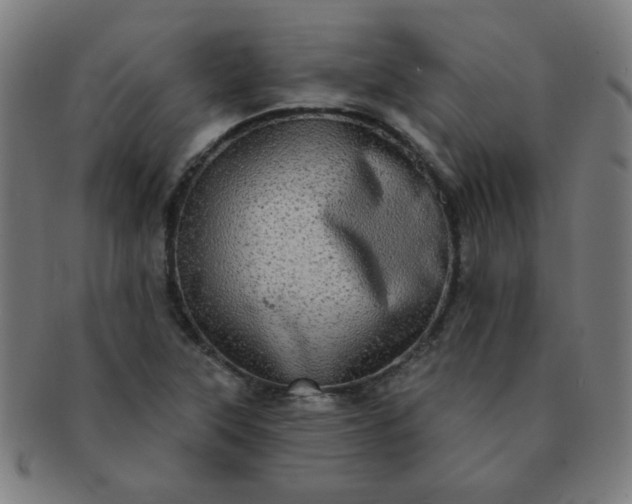 X0000091351315200708241237