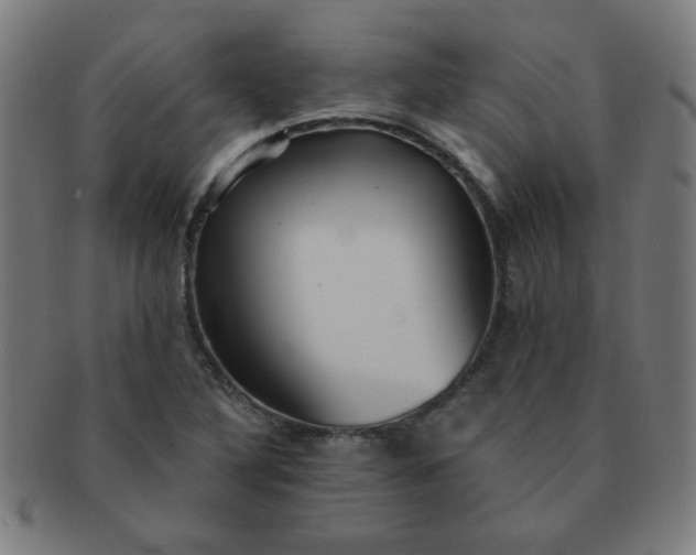 X0000091351316200708241237