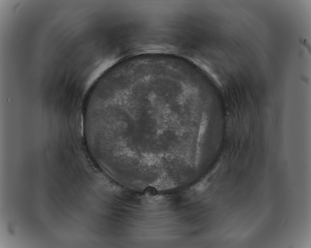 X0000091351317200708241237