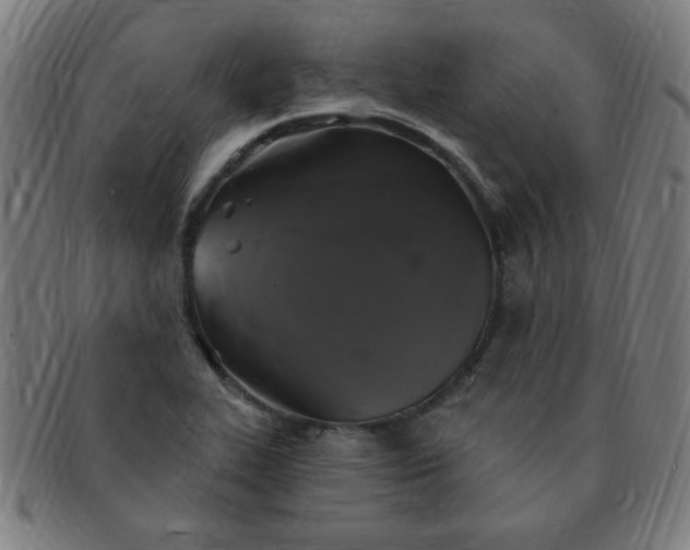 X0000091351319200708241237
