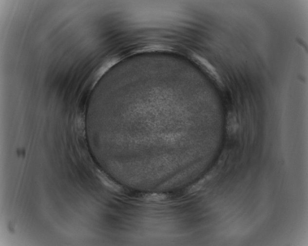 X0000091351321200708241237