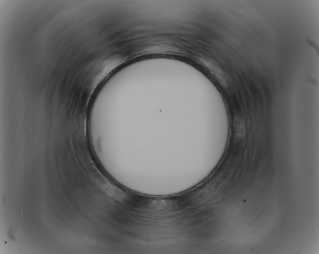 X0000091351322200708241237
