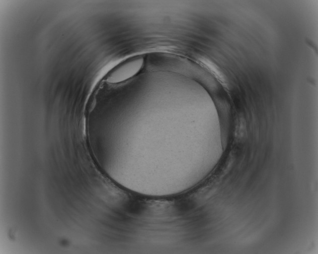 X0000091351324200708241237