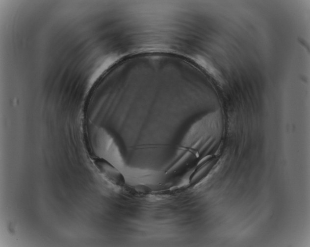 X0000091351325200708241237