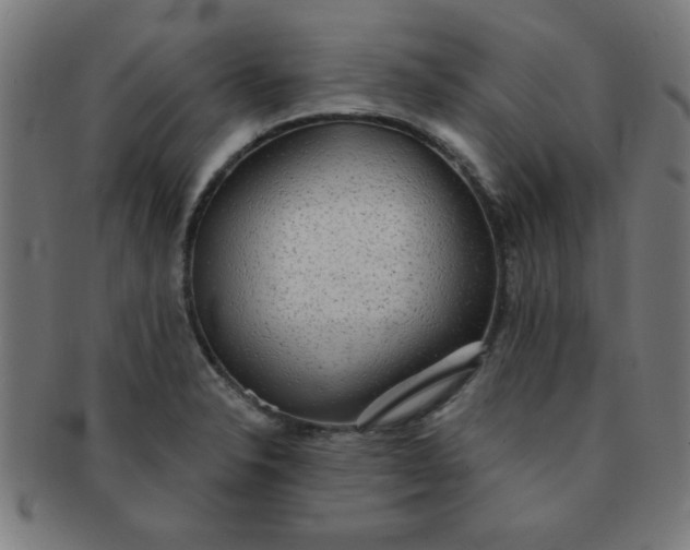 X0000091351326200708241237
