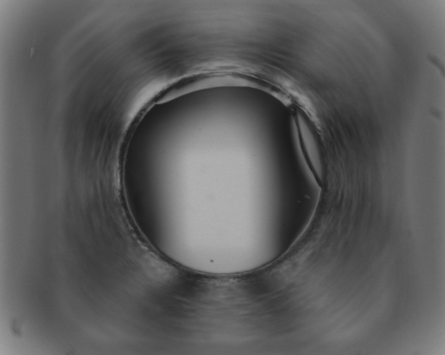 X0000091351328200708241237