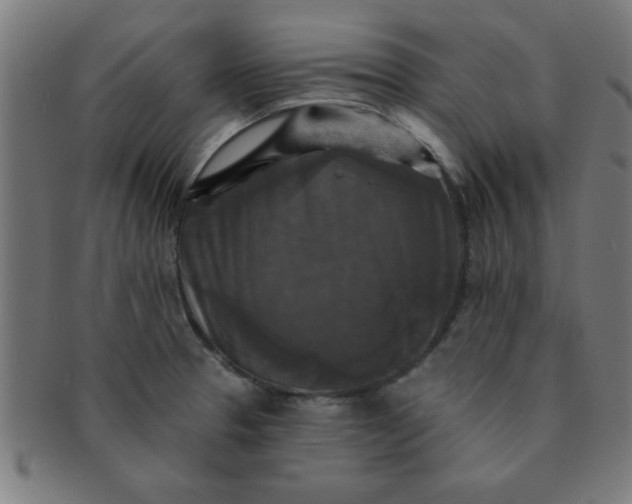 X0000091351329200708241237