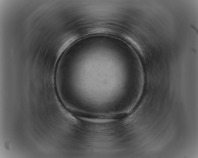 X0000091351330200708241237