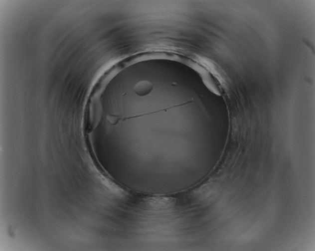 X0000091351331200708241237