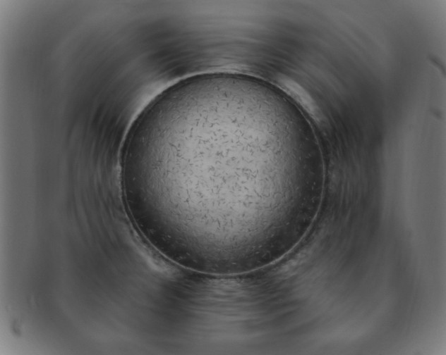 X0000091351332200708241237