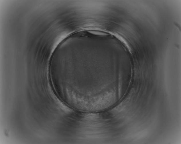 X0000091351333200708241237