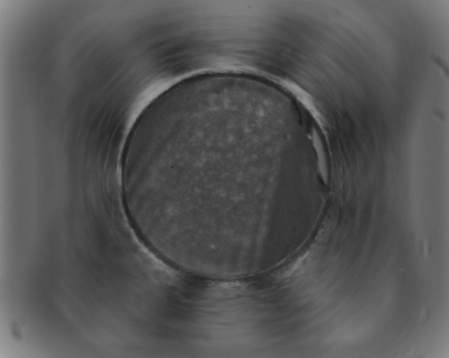 X0000091351335200708241237