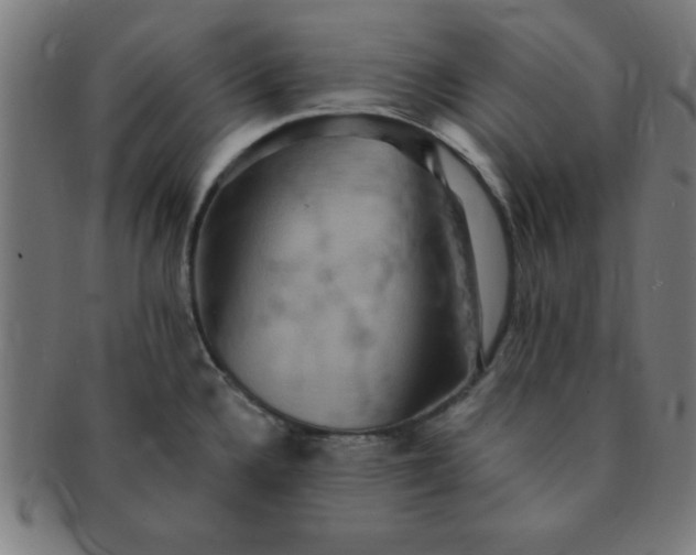 X0000091351336200708241237