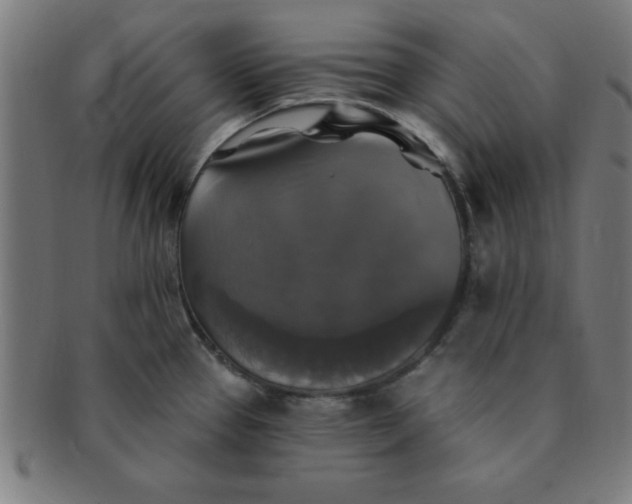 X0000091351337200708241237