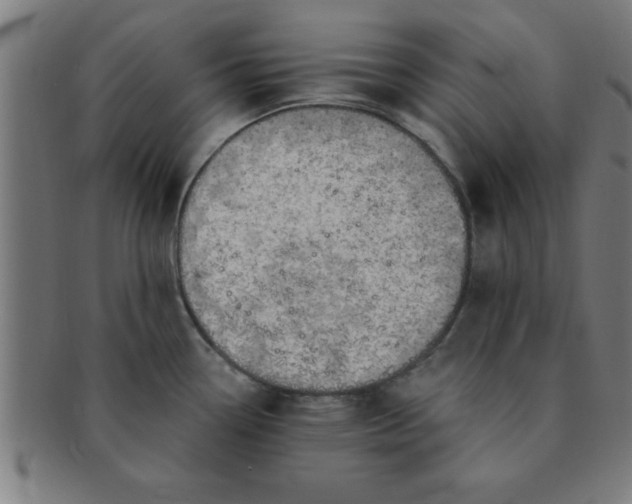 X0000091351338200708241238
