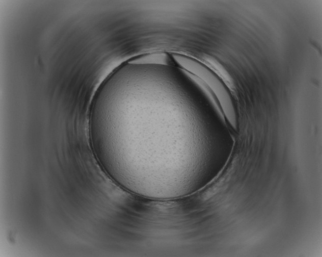 X0000091351340200708241238