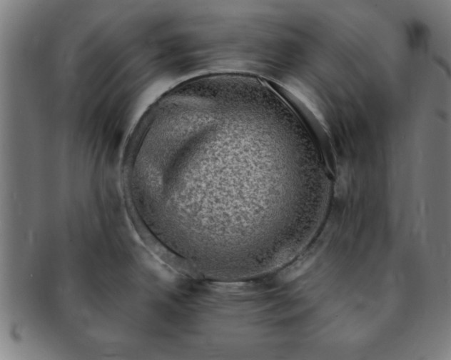 X0000091351342200708241238