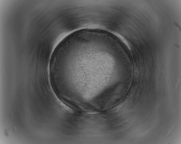 X0000091351343200708241238