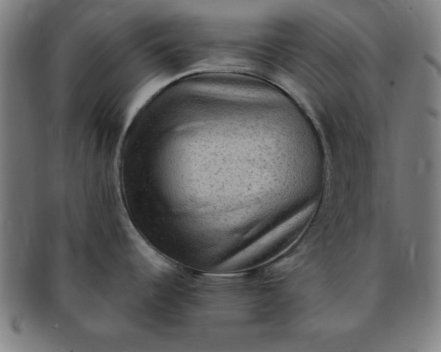 X0000091351344200708241238