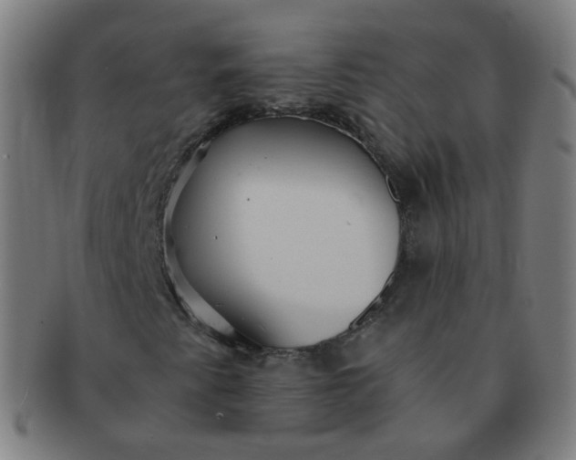 X0000091351345200708241237