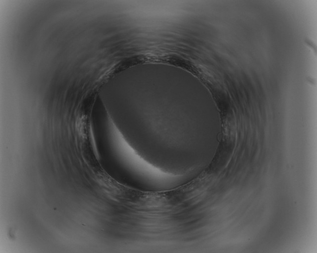 X0000091351346200708241237