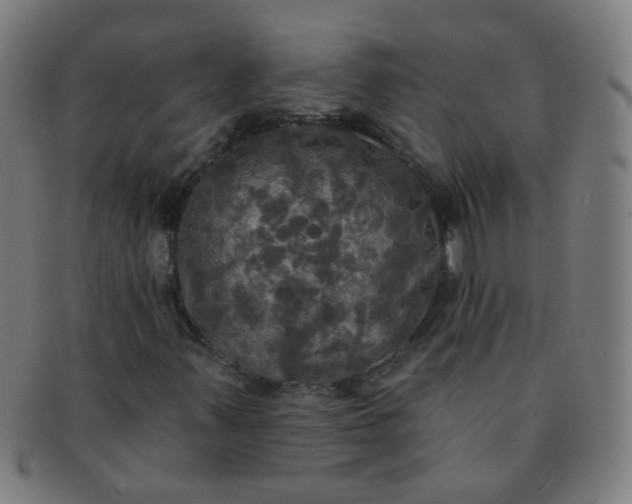 X0000091351347200708241237