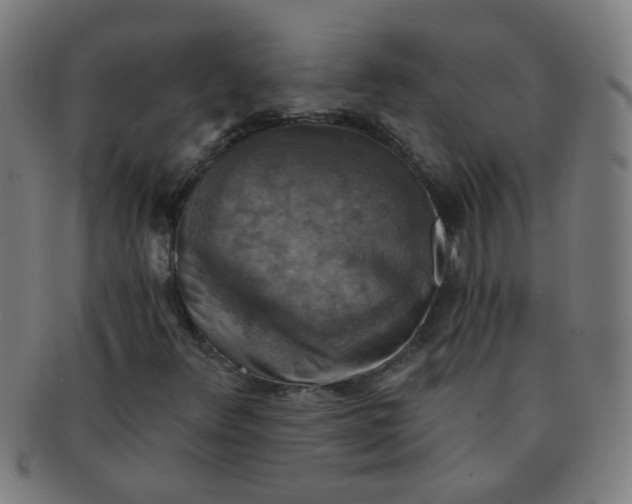 X0000091351348200708241237