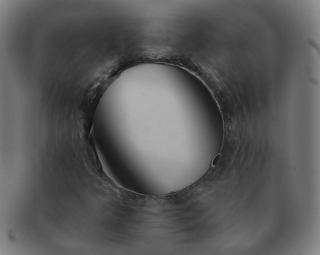 X0000091351349200708241237