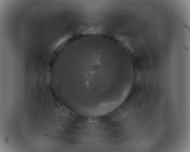 X0000091351350200708241237