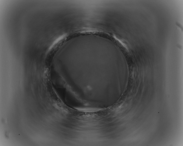 X0000091351351200708241237