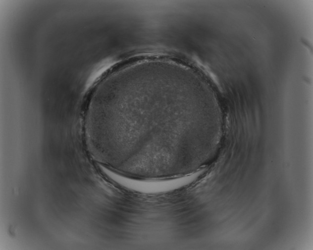 X0000091351352200708241237