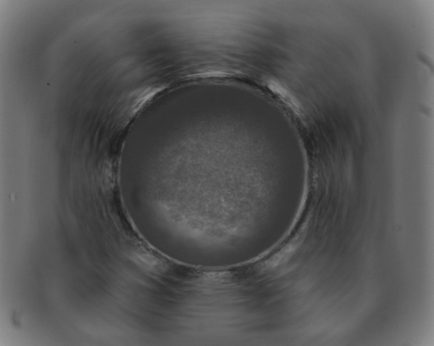 X0000091351353200708241237